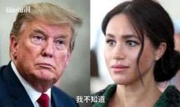 对梅根爆料的评论视频,网友评论炸裂，真相究竟如何？