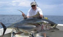 娱乐吃瓜钓鱼视频大全下载,一键下载收藏！