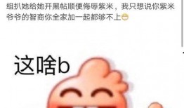 吃瓜网红故事,网红吃瓜背后的故事揭秘
