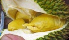 女子爆料买榴莲视频,揭秘榴莲选购与食用技巧