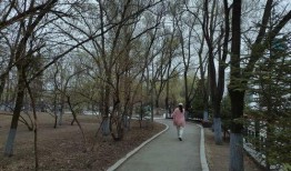 哈尔滨植物园爆料视频曝光,探秘园内珍稀植物与神秘现象