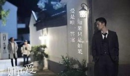 暖情在线观看,温情满满的爱情故事