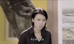 爱寻迷在线观看,一场跨越时空的浪漫冒险之旅