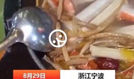 吃虫子爆料视频,吃虫子挑战背后的真实内幕