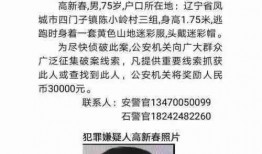 红色通缉犯爆料案件最新,最新爆料案件内幕曝光