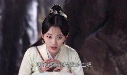 芸汐转在线观看,穿越时空的奇幻之旅，邂逅甜蜜爱情