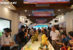 遂溪新闻爆料最新消息视频,视频揭露惊人真相！