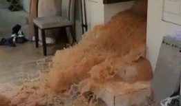 爆料房子被淹了视频,房屋被淹现场视频曝光