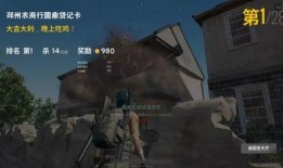 吃鸡跨年爆料视频,跨年狂欢！吃鸡游戏全新爆料揭秘