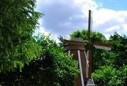 哈尔滨植物园爆料视频曝光,探秘园内珍稀植物与神秘现象