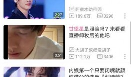 刘宇直播爆料视频大全下载,揭秘幕后真相与精彩瞬间