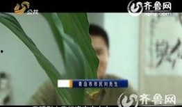 青岛药店最新爆料信息,揭秘药品价格波动与供应链真相