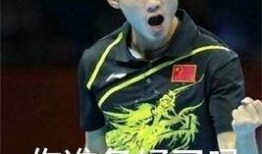 爆料张继科汇总视频最新,揭秘赛场内外不为人知的故事