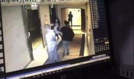 酒店内部爆料视频大全,独家爆料视频大全深度解析