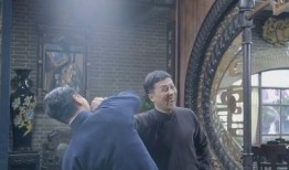 叶问爆料视频大全集免费观看