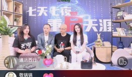 天涯社区爆料台湾娱乐圈,天涯社区爆料背后的真相与内幕