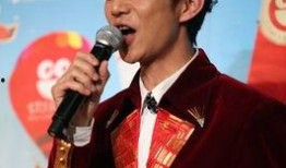 何炅爆料娱乐圈经济,何炅揭秘幕后真相与风云变幻