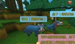 迷你世界狼先生爆料视频,揭秘游戏背后不为人知的秘密