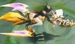 王者戈娅皮肤爆料视频下载,神秘视频揭秘，华丽变身引期待