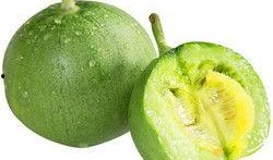 甜瓜概念爆料视频下载安装,甜瓜概念爆料视频下载安装全攻略