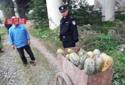 宜丰网红吃瓜事件真相视频,揭秘真相背后的惊人内幕