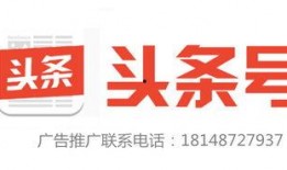 今日头条飞行员爆料电话,揭秘航空安全背后的真相