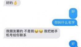 留学生爆料宾馆视频网站,宾馆视频网站惊现不雅内容，引发社会关注