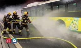 胶州最新爆料新闻视频播放,视频揭秘事件真相，引发网友热议