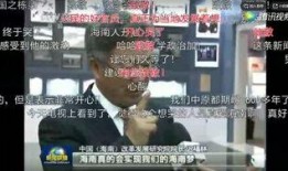海安网友爆料新闻事件视频,惊现新闻事件视频，真相令人震惊！