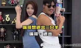 南安石井爆料事件视频播放,视频曝光背后的真相与争议