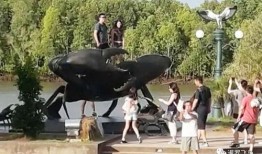 泰国游客爆料事件视频播放,视频揭露惊人真相