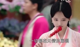芸汐转在线观看,穿越时空的奇幻之旅，邂逅甜蜜爱情