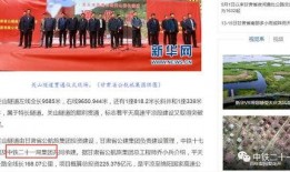 央视新闻重要爆料,揭开重大事件背后真相