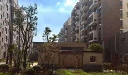 平南爆料热线最新电话,倾听民声，守护平安