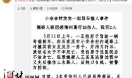 最新爆料石家庄事件,揭秘背后真相与影响