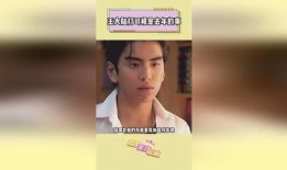 姓王的明星爆料大全集视频