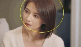 男子爆料襄阳城视频播放,揭秘古城魅力瞬间