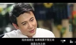 沈腾媳妇爆料完整版视频,揭秘明星夫妻背后的温馨瞬间