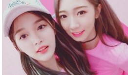 娱乐吃瓜酱商品id,独特商品ID背后的故事与魅力