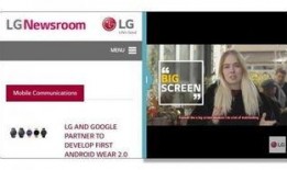 爆料的正确方法视频