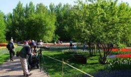 哈尔滨植物园爆料视频曝光,探秘园内珍稀植物与神秘现象