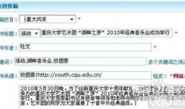 视频新闻爆料投稿流程,轻松掌握信息传播之道