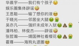 从年头到年尾娱乐圈吃瓜总结,从年初到年尾的精彩瞬间