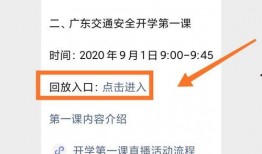 江门网课最新爆料,揭秘网课乱象背后的真相