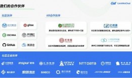 网易公司爆料案例最新视频,揭秘视频背后的惊人真相