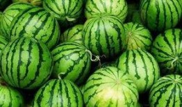 承德县吃瓜网红,揭秘承德县网红美食背后的故事