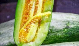 什么叫吃网红的瓜,吃瓜群众如何品尝“网红瓜”的酸甜苦辣