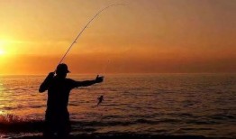 娱乐吃瓜钓鱼视频大全下载,一键下载收藏！