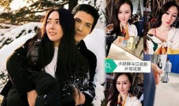 为什么敢爆料向佐呢视频,背后真相大揭秘