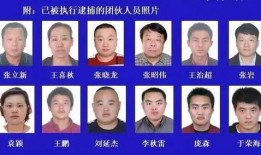 红色通缉犯爆料案件最新,最新爆料案件内幕曝光